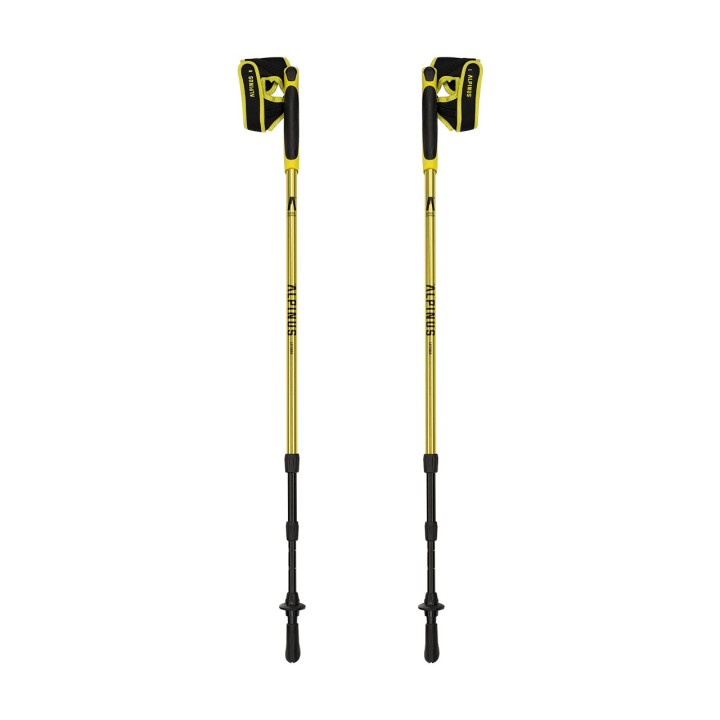 KIJE NORDIC WALKING ALPINUS LATEMAR