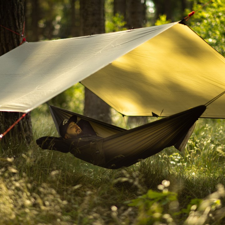 TARP AlPINUS ZAGROS