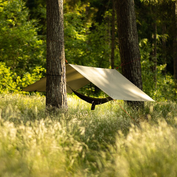 TARP AlPINUS ZAGROS