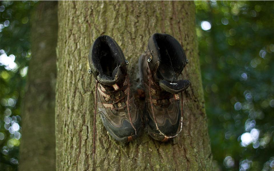 Buty skórzane na drzewie